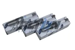 Ateşleme Buji Fiesta 1.1 Motor 2017/