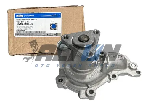 Devirdaim (Su Pompası) Focus 1.5 Dragon 2018/