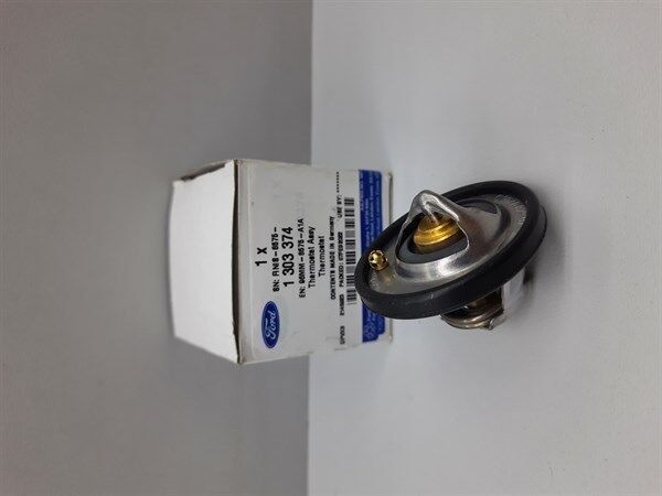 Termostat Focus 1 1998-2005